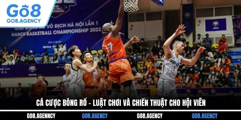 Cá Cược Bóng Rổ - Luật Chơi Và Chiến Thuật Cho Hội Viên