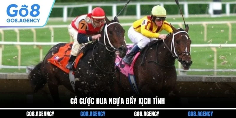 Cá cược đua ngựa đầy kịch tính Cá cược đua ngựa đầy kịch tính