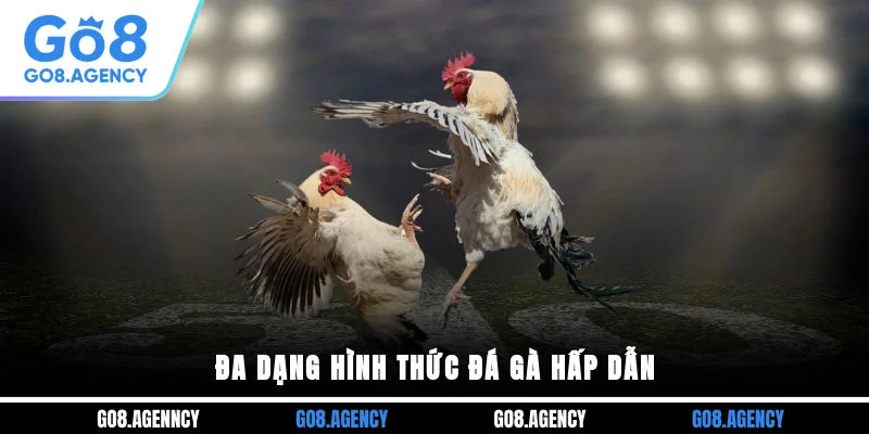 Đa dạng hình thức đá gà hấp dẫn