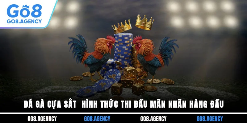 Đá Gà Cựa Sắt - Hình Thức Thi Đấu Mãn Nhãn Hàng Đầu