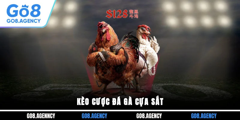Kèo cược đá gà cựa sắt