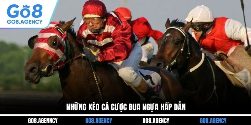 Những kèo cá cược đua ngựa hấp dẫn Những kèo cá cược đua ngựa hấp dẫn