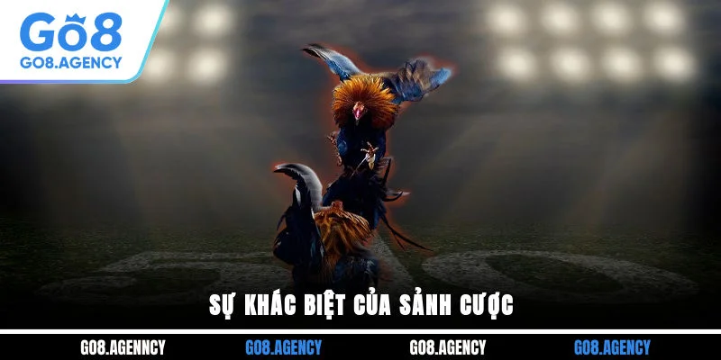 Sự khác biệt của sảnh cược Sự khác biệt của sảnh cược