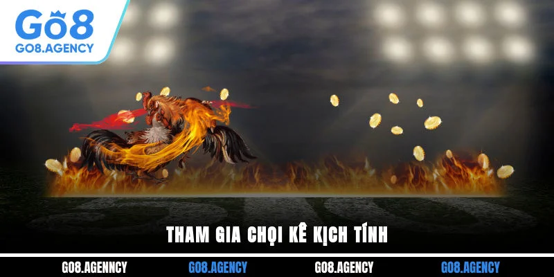 Tham gia chọi kê kịch tính Tham gia chọi kê kịch tính